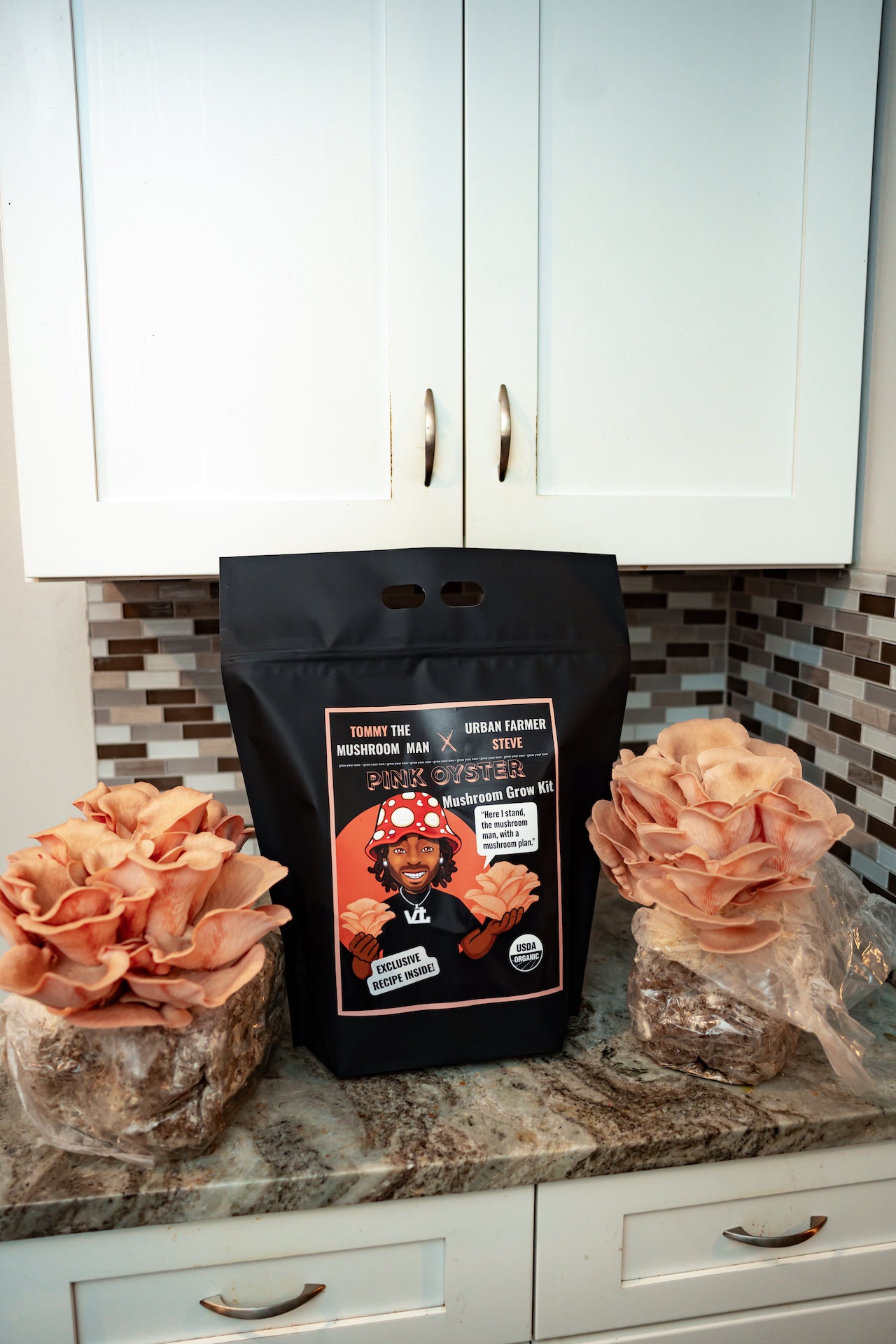 Tommy The Mushroom Man Organic Pink Oyster Mushroom Grow Kit
