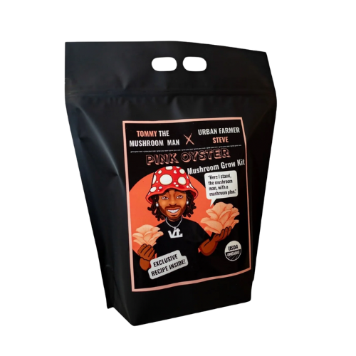 Tommy The Mushroom Man Organic Pink Oyster Mushroom Grow Kit