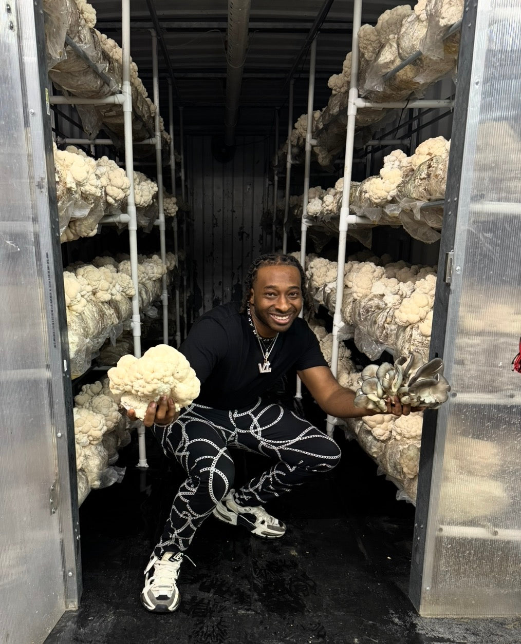 Grow your own mushrooms from home like Tommy the Mushroom Man. 