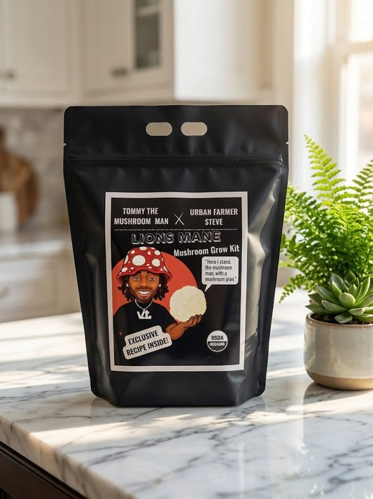 Tommy The Mushroom Man Organic Lions Mane Mushroom Grow Kit
